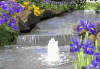831974_767.gif